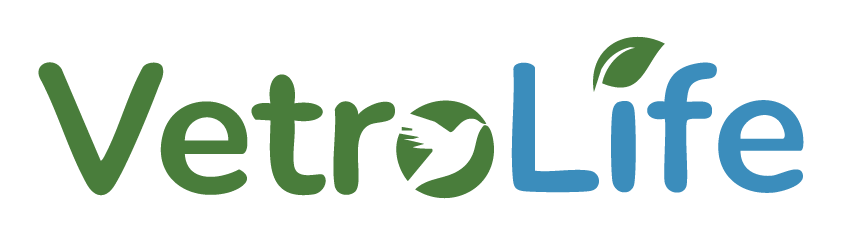 VetroLife Foundation